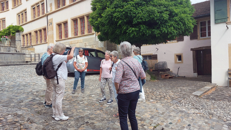 Galeriebild
